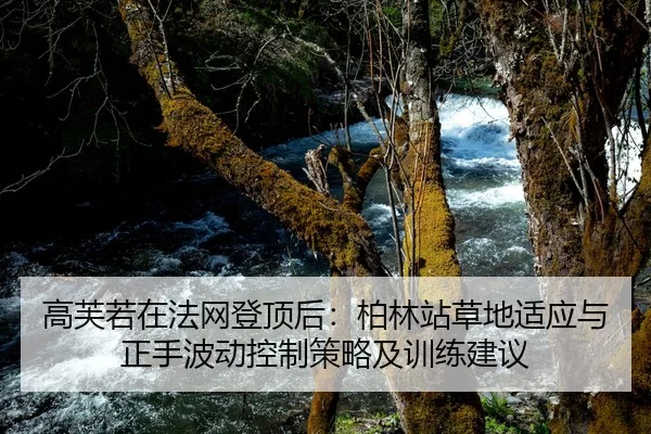 gao-fu-ruo-zai-fa-wang-deng-ding-hou-bo-lin-zhan-cao-di-shi-ying-yu-zheng-shou-bo-dong-kong-zhi-ce-lve-ji-xun-lian-jian-2-756.jpg