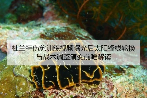 du-lan-te-shang-yu-xun-lian-shi-pin-bao-guang-hou-tai-yang-feng-xian-lun-huan-yu-zhan-shu-tiao-zheng-yan-bian-qian-zhan-2-237.jpg